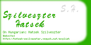 szilveszter hatsek business card